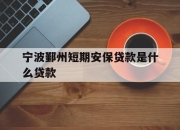 宁波鄞州短期安保贷款是什么贷款