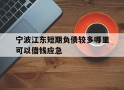 宁波江东短期负债较多哪里可以借钱应急