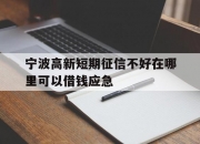 宁波高新短期征信不好在哪里可以借钱应急