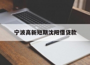 宁波高新短期沈阳借贷款