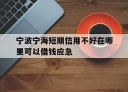宁波宁海短期信用不好在哪里可以借钱应急