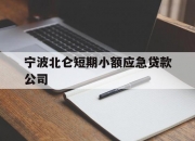 宁波北仑短期小额应急贷款公司