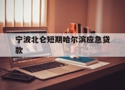 宁波北仑短期哈尔滨应急贷款