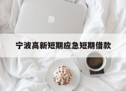 宁波高新短期应急短期借款