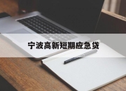 宁波高新短期应急贷