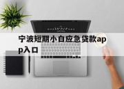 宁波短期小白应急贷款app入口