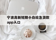 宁波高新短期小白应急贷款app入口