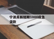 宁波高新短期1000应急贷款