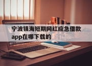 宁波镇海短期网红应急借款app在哪下载的