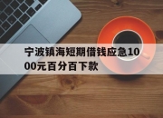 宁波镇海短期借钱应急1000元百分百下款