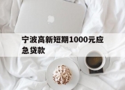 宁波高新短期1000元应急贷款