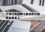 宁波江东短期小额贷款公司紧急联系人