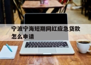 宁波宁海短期网红应急贷款怎么申请