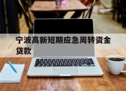 宁波高新短期应急周转资金贷款