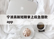 宁波高新短期掌上应急借款app