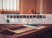 宁波高新短期无抵押贷款公司