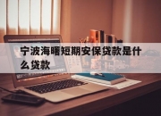 宁波海曙短期安保贷款是什么贷款