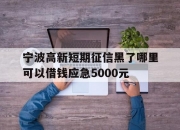 宁波高新短期征信黑了哪里可以借钱应急5000元