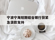 宁波宁海短期硅谷银行获紧急贷款支持