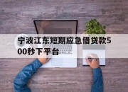 宁波江东短期应急借贷款500秒下平台