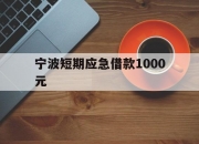 宁波短期应急借款1000元