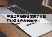 宁波江东短期征信黑了哪里可以借钱应急5000元