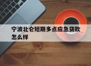 宁波北仑短期多点应急贷款怎么样