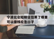 宁波北仑短期征信黑了哪里可以借钱应急口子