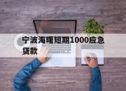 宁波海曙短期1000应急贷款