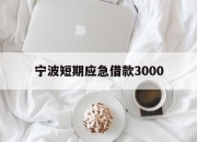 宁波短期应急借款3000