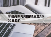 宁波高新短期借钱应急1000元软件