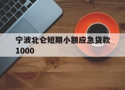 宁波北仑短期小额应急贷款1000