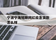 宁波宁海短期网红应急贷款怎么样