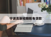 宁波高新短期既有贷款
