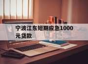 宁波江东短期应急1000元贷款