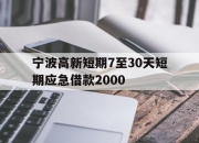 宁波高新短期7至30天短期应急借款2000