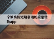 宁波高新短期靠谱的应急借款app