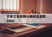 宁波江东短期小额应急贷款1000