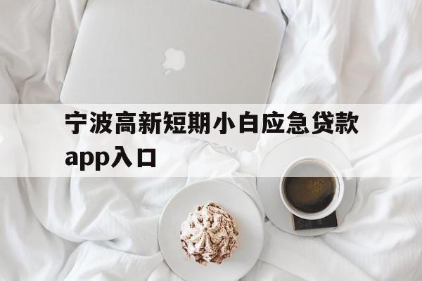 宁波高新短期小白应急贷款app入口