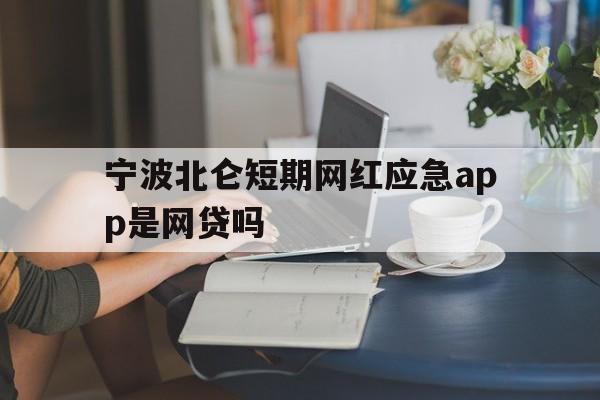 宁波北仑短期网红应急app是网贷吗