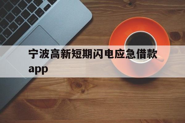 宁波高新短期闪电应急借款app