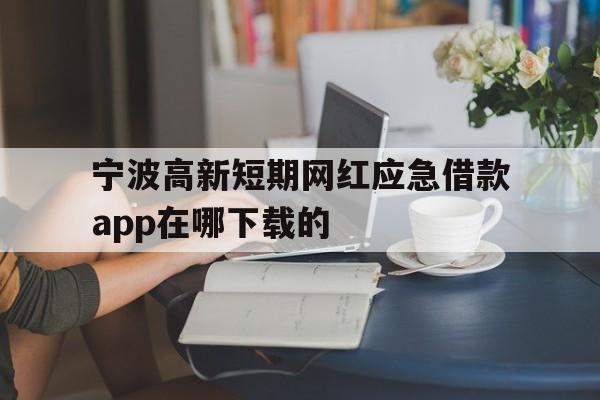 宁波高新短期网红应急借款app在哪下载的