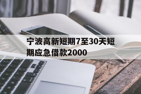 宁波高新短期7至30天短期应急借款2000