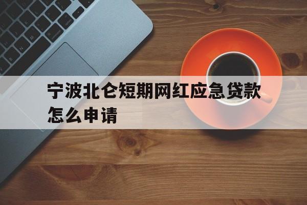 宁波北仑短期网红应急贷款怎么申请