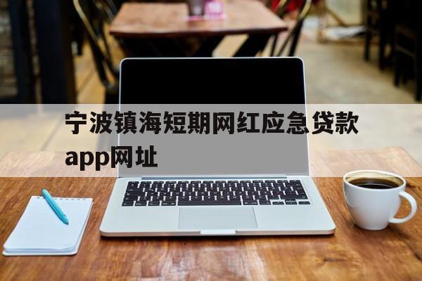 宁波镇海短期网红应急贷款app网址