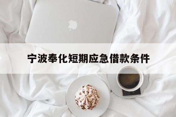 宁波奉化短期应急借款条件