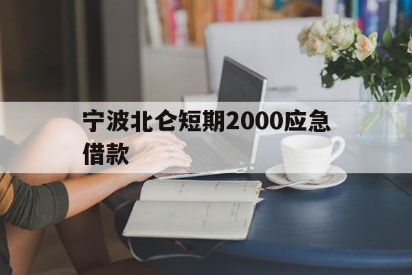 宁波北仑短期2000应急借款