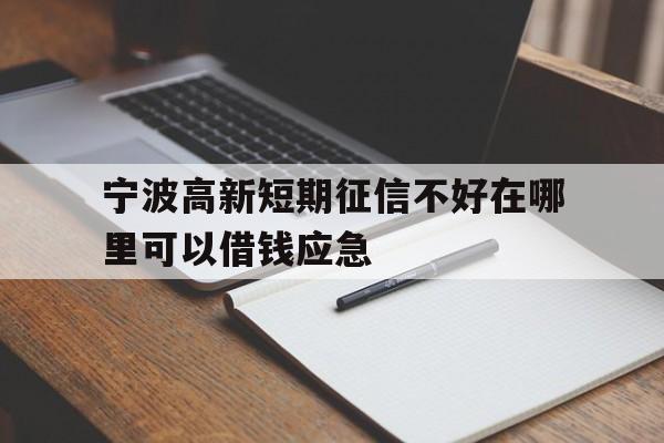 宁波高新短期征信不好在哪里可以借钱应急