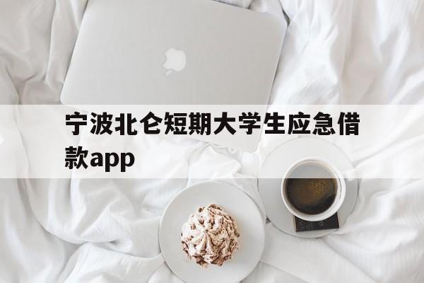 宁波北仑短期大学生应急借款app