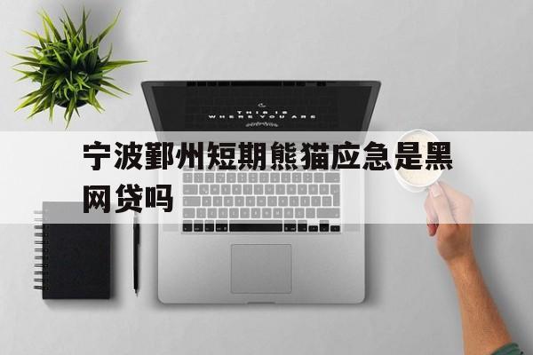 宁波鄞州短期熊猫应急是黑网贷吗